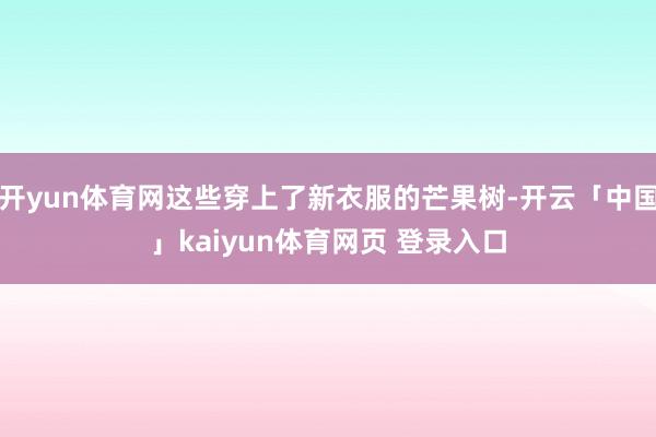 开yun体育网这些穿上了新衣服的芒果树-开云「中国」kaiyun体育网页 登录入口