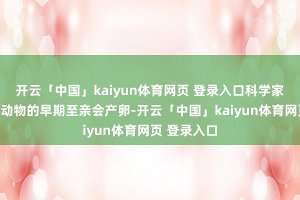 开云「中国」kaiyun体育网页 登录入口科学家们以为哺乳动物的早期至亲会产卵-开云「中国」kaiyun体育网页 登录入口