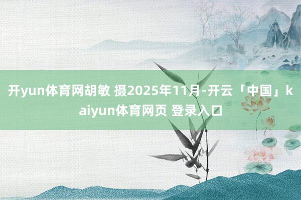 开yun体育网胡敏 摄2025年11月-开云「中国」kaiyun体育网页 登录入口