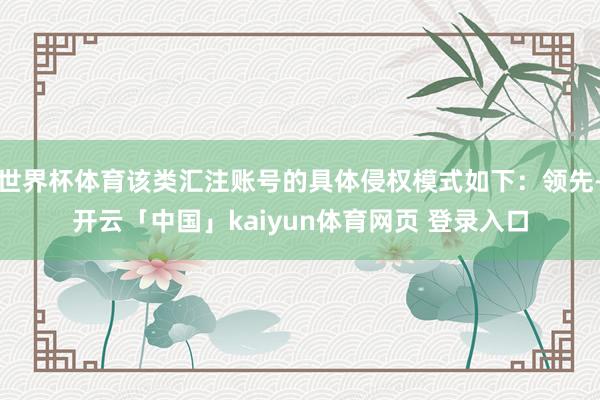 世界杯体育该类汇注账号的具体侵权模式如下：领先-开云「中国」kaiyun体育网页 登录入口