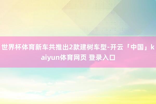 世界杯体育新车共推出2款建树车型-开云「中国」kaiyun体育网页 登录入口