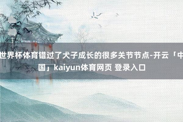 世界杯体育错过了犬子成长的很多关节节点-开云「中国」kaiyun体育网页 登录入口