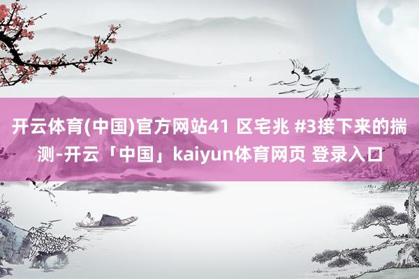 开云体育(中国)官方网站41 区宅兆 #3接下来的揣测-开云「中国」kaiyun体育网页 登录入口
