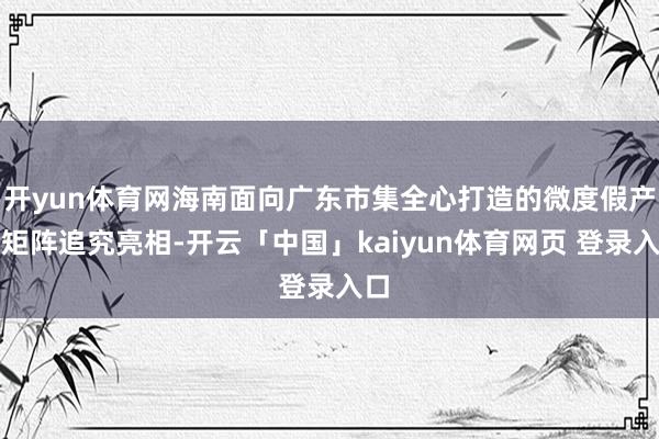 开yun体育网海南面向广东市集全心打造的微度假产物矩阵追究亮相-开云「中国」kaiyun体育网页 登录入口