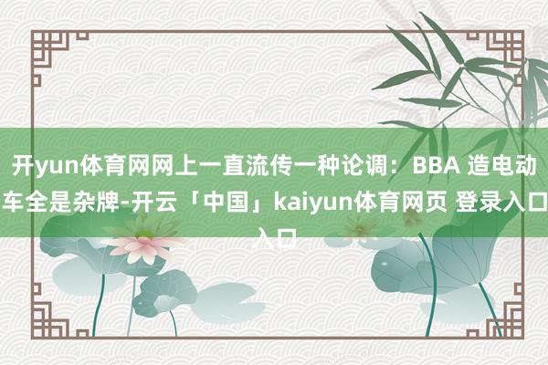 开yun体育网网上一直流传一种论调：BBA 造电动车全是杂牌-开云「中国」kaiyun体育网页 登录入口