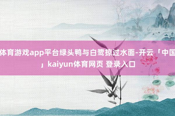 体育游戏app平台绿头鸭与白鹭掠过水面-开云「中国」kaiyun体育网页 登录入口