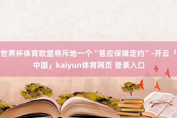 世界杯体育欧盟将斥地一个“答应保障定约”-开云「中国」kaiyun体育网页 登录入口
